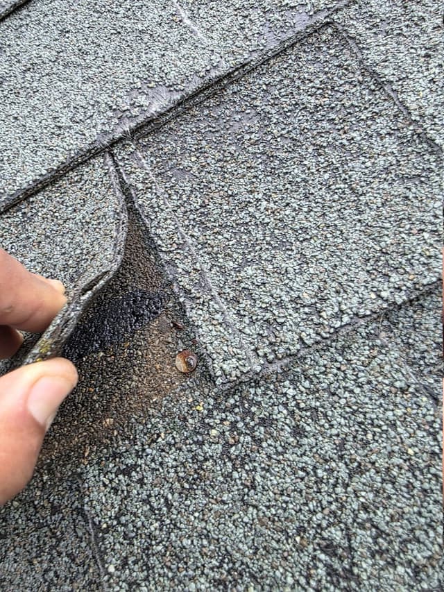 A lifted shingle exposing a weathered nail and sealant in Suffield