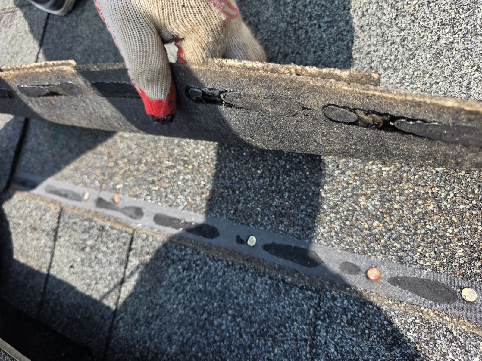Failed shingle strip during a Trust Proof repair assessment in Suffield, CT