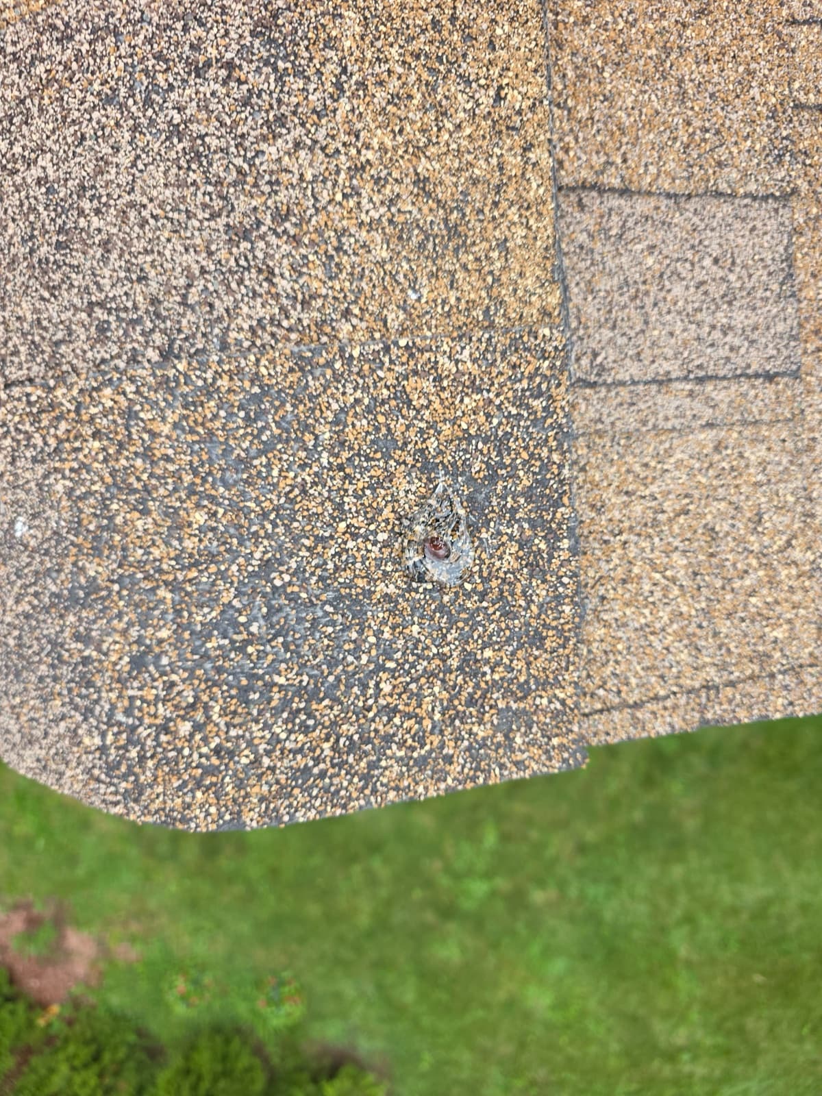 Sealed nail pop found during a Trust Proof roof inspection in Enfield, CT