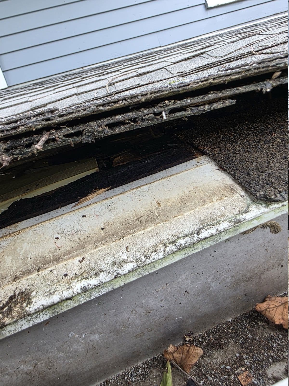 Deteriorated wood and debris behind a roof-edge gutter