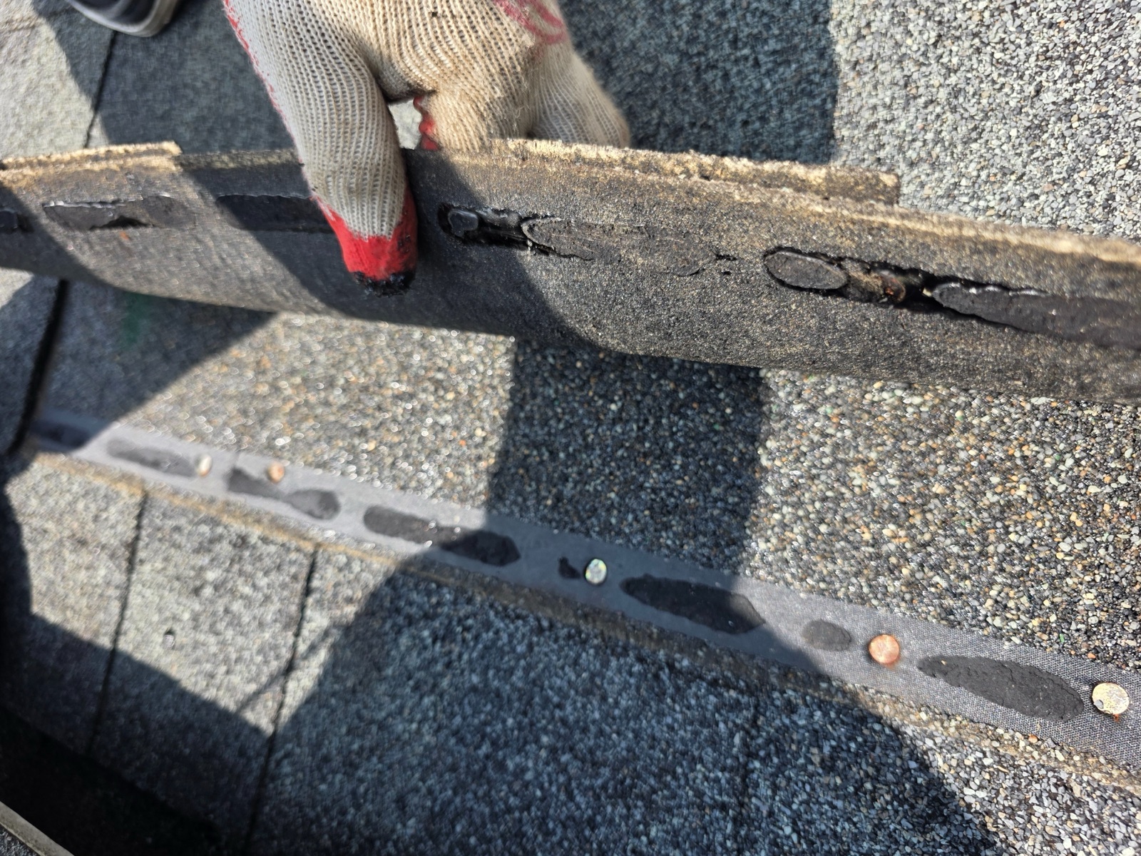 Failed shingle strip during a Trust Proof repair assessment in Suffield, CT