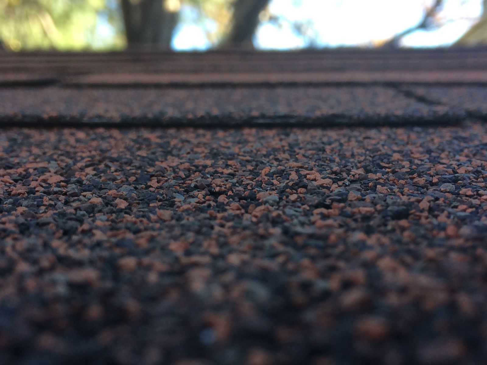 Close-up of asphalt shingle granules on a roof surface