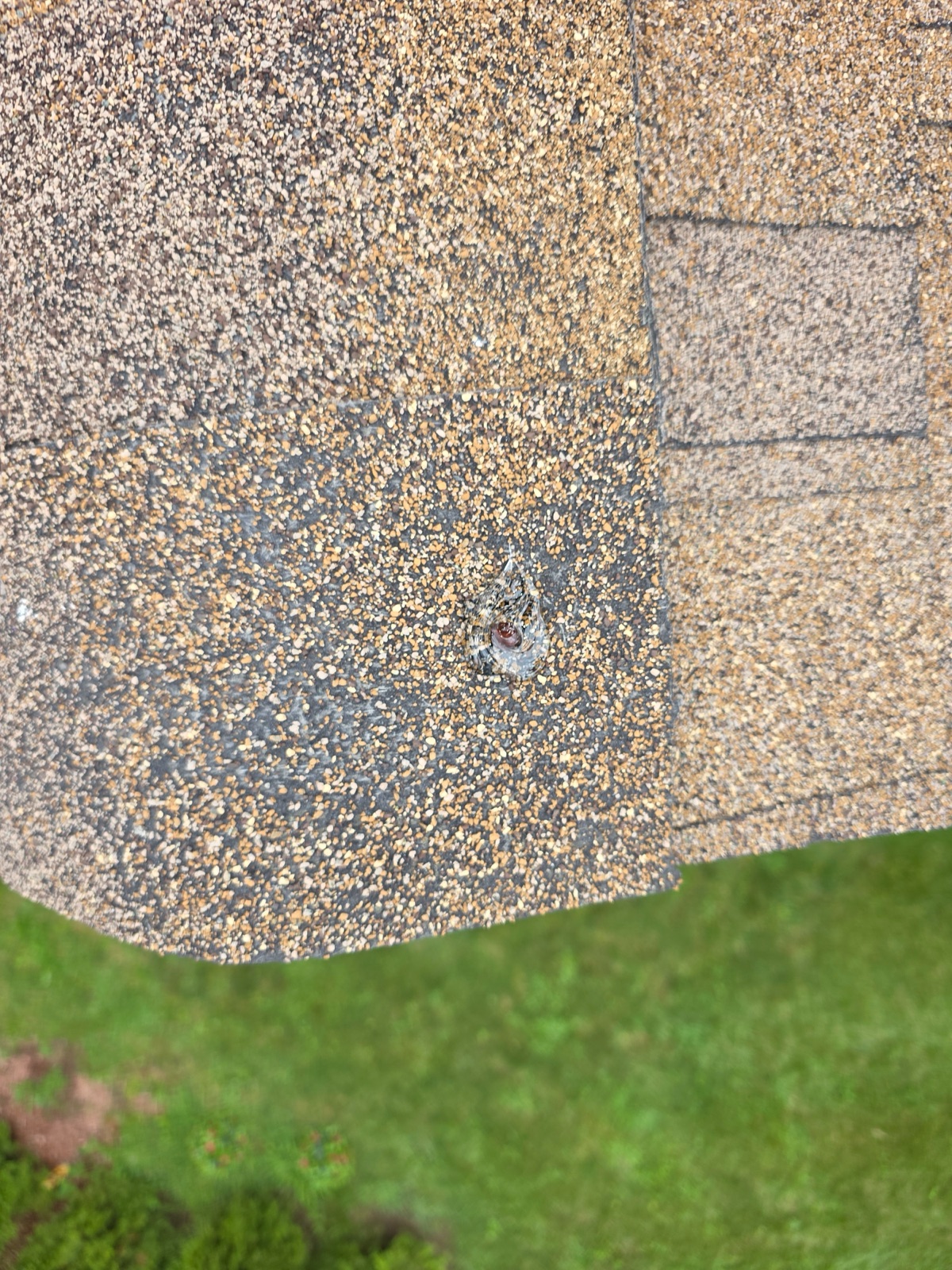 Sealed nail pop on a worn shingle roof inspected by Trust Proof in Enfield, CT